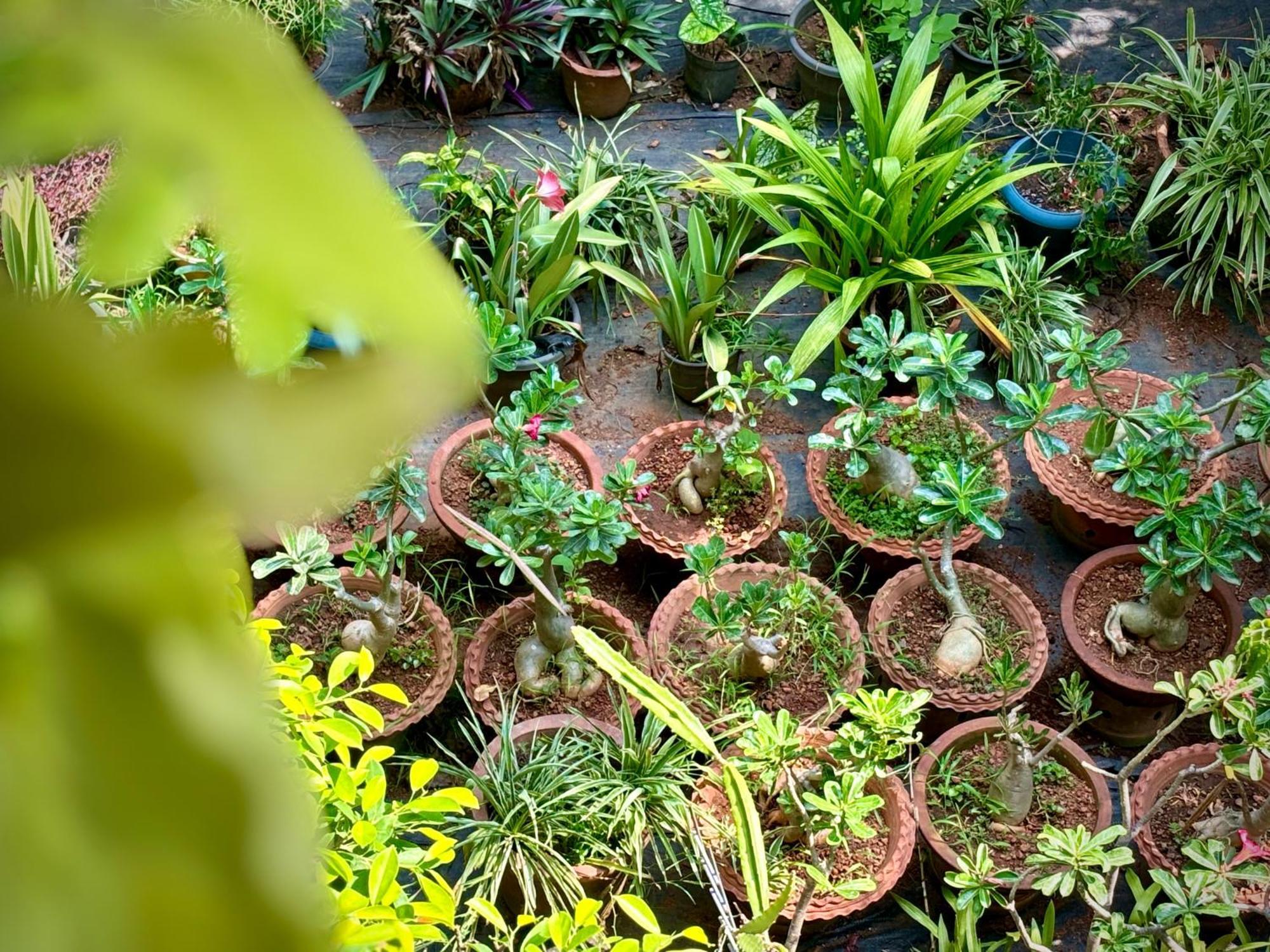 Gloria Homestay ,Thrissur Exterior foto